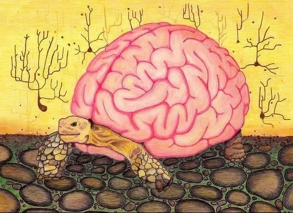 Featured image for Bradypsychia and music